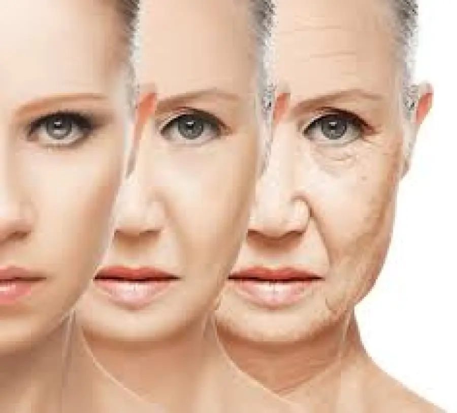 Crema antirughe: come scegliere la migliore