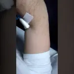 Cos’è la Fascicolazione