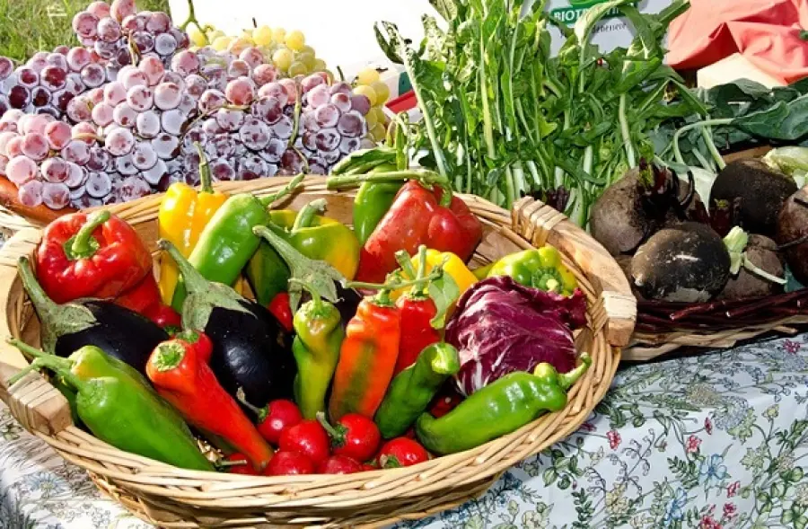 I segreti per un perfetto orto domestico