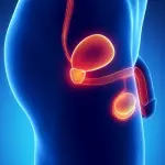 Prostata ingrossata: sintomi e prevenzione