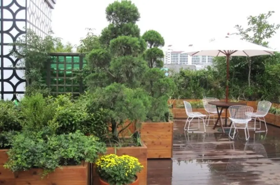 Consigli per la manutenzione di un giardino