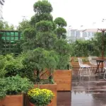 Consigli per la manutenzione di un giardino