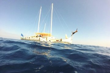 Vacanza in catamarano