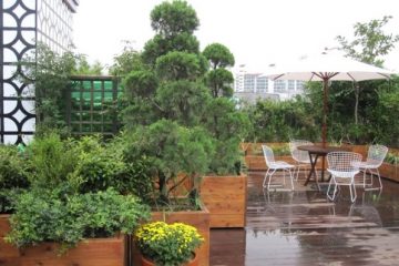 giardino